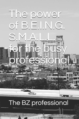 The Power of Being Small for the Busy Professional Small Is the New Goal. Excesses Are Holding You Back. Be Small to Stay Focused, Mitigate Your Risks and Succeed in All You Do.