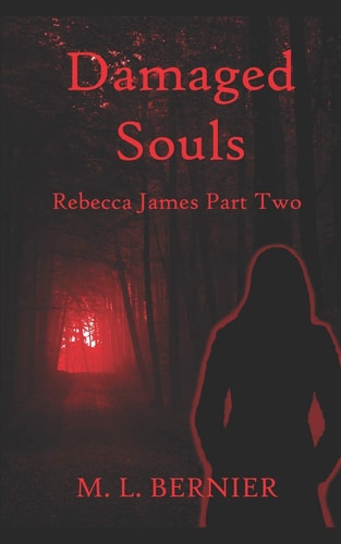 Damaged Souls Rebecca James Part Two