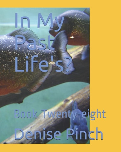 In My Past Life's? Book Twenty-Eight