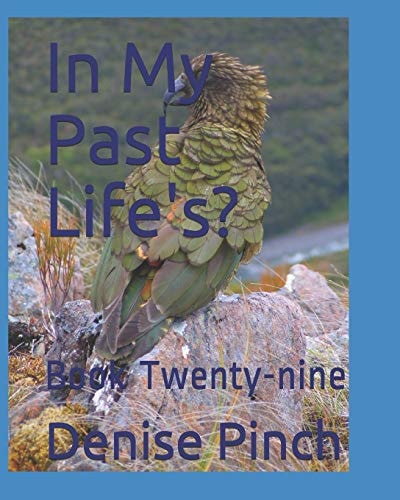 In My Past Life's? Book Twenty-Nine