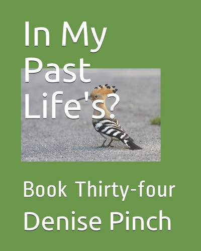 In My Past Life's? Book Thirty-Four