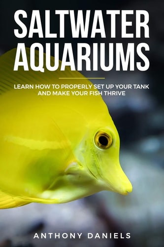 Saltwater Aquariums Learn How to Properly Set Up Your Tank and Make Your Fish Thrive