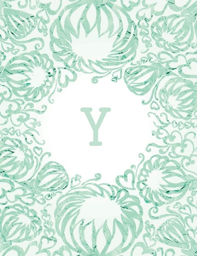 Y