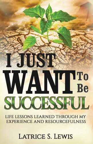 I Just Want To Be Successful Life Lessons Learned Through My Experience and Resourcefulness