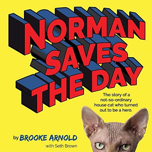 Norman Saves the Day The Story of a Not-So-Ordinary House Cat Who Turned Out to Be a Hero
