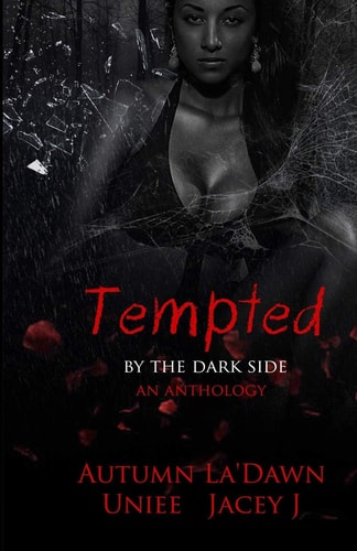 Tempted By The Dark Side An Anthology