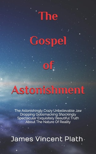 The Gospel of Astonishment The Astonishingly Crazy Unbelievable Jaw Dropping Gobsmacking Shockingly Spectacular Exquisitely Beautiful Truth About The Nature Of Reality