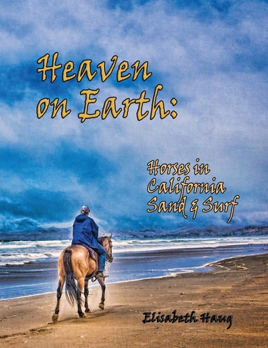 Heaven on Earth Horses in California Sand and Surf