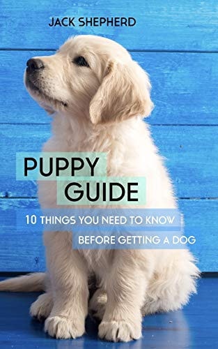 Puppy Guide 10 Things You Need to Know Before Getting a Dog