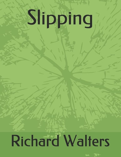 Slipping The Journey