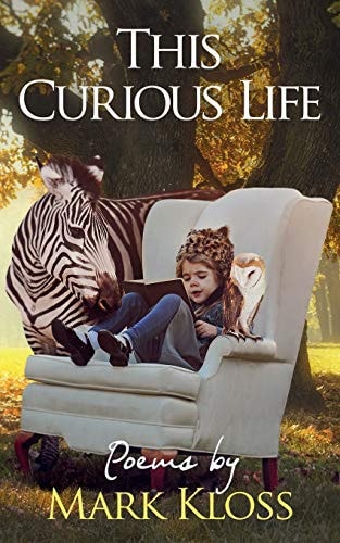 This Curious Life Poetry of Love, Loss and Inspiration