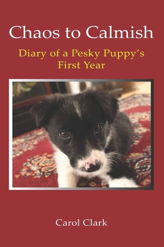 Chaos to Calmish Diary of a Pesky Puppy's First Year
