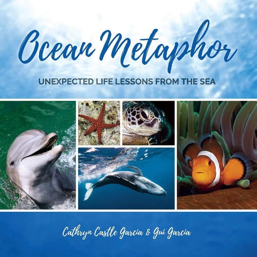 Ocean Metaphor Unexpected Life Lessons from the Sea