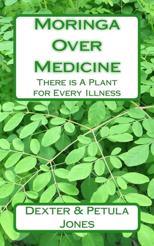 Moringa Over Medicine There Is a Plant for Every Illness