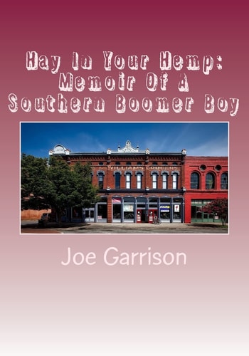 Hay In Your Hemp Memoir Of A Southern Boomer Boy