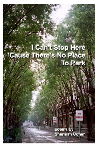 I Can't Stop Here 'cause There's No Place to Park