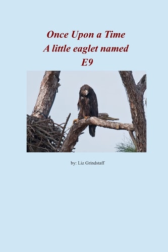 Once Upon a Time a Little Eaglet Named E9