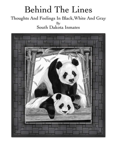 Behind the Lines Thoughts and Feelings in Black, White and Gray