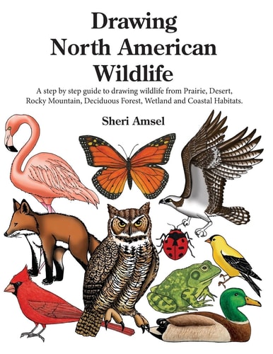 Drawing North American Wildlife A Step by Step Guide to Drawing Wildlife from Prairie, Desert, Rocky Mountain, Deciduous Forest, Wetland and Coastal Habitats.