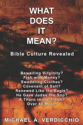 What Does It Mean? Bible Culture Revealed