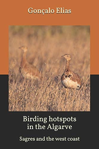 Birding Hotspots in the Algarve Sagres and the West Coast