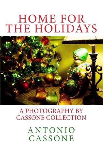 Home for the Holidays A Photography by Cassone Collection