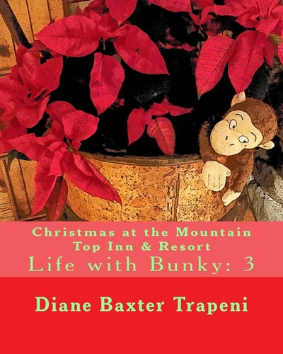 Christmas at the Mountain Top Inn and Resort Life with Bunky: 3