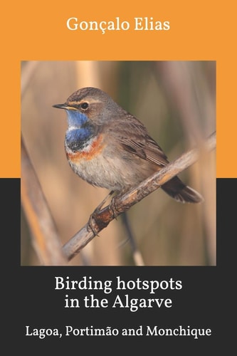 Birding Hotspots in the Algarve Lagoa, Portimão and Monchique