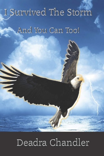 I Survived the Storm And You Can Too!