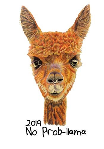 2019 No Prob-Llama Easy Plan Your Weeks In 2019