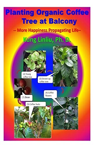 Planting Organic Coffee Tree at Balcony -- More Happiness Propagating Life --