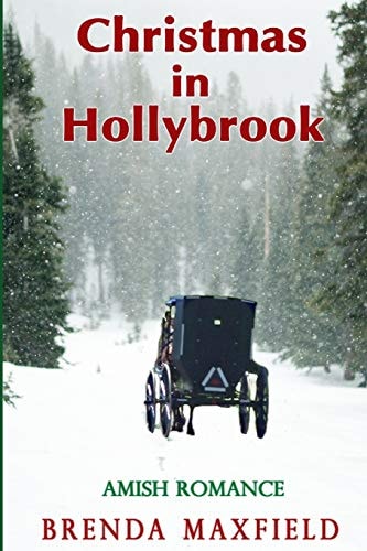 Christmas in Hollybrook Amish Romance