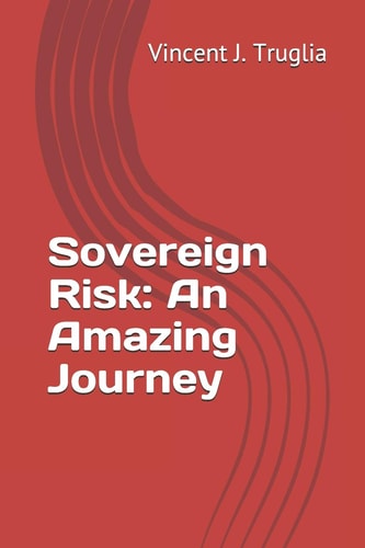 Sovereign Risk An Amazing Journey