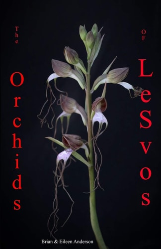Orchids of Lesvos
