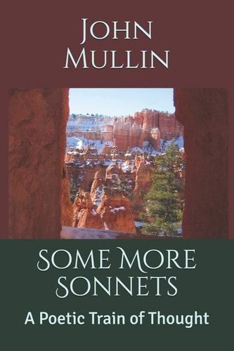 Some More Sonnets A Poetic Train of Thought