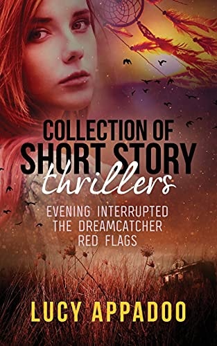 Collection of Short Story Thrillers Evening Interrupted, The Dreamcatcher, Red Flags