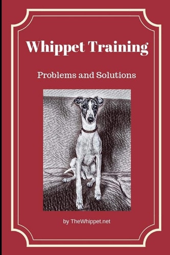 Whippet Training Problems and Solutions
