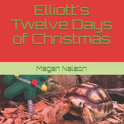 Elliott's Twelve Days of Christmas