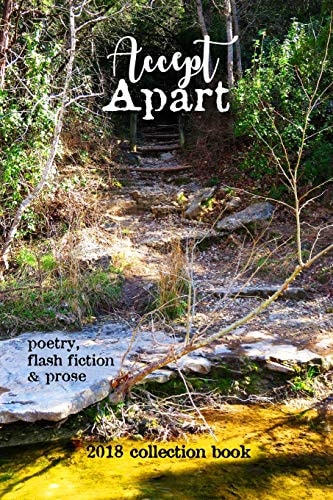 Accept Apart 2018 Scars Publications Collection Book