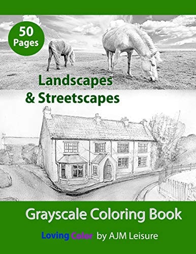 Landscapes & Streetscapes Adult Grayscale Coloring Book