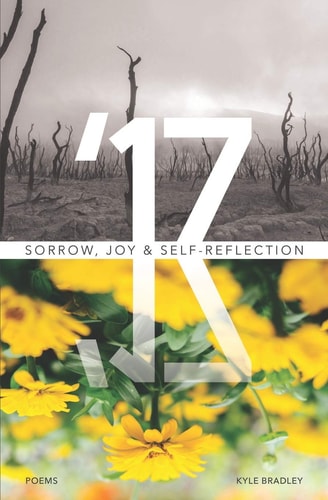 '17 Sorrow, Joy & Self-Reflection