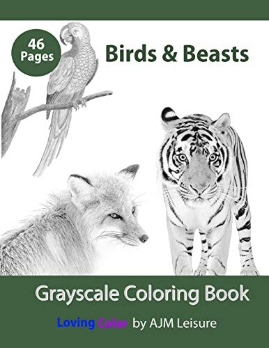 Birds & Beasts Adult Coloring Book Grayscale