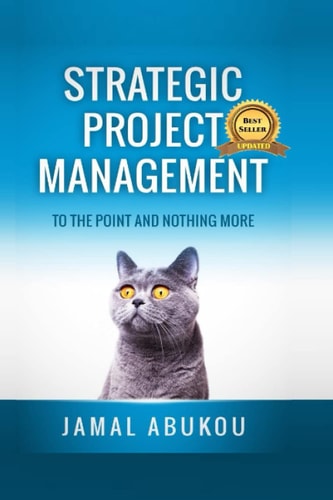 Strategic Project Management To The Point And Nothing More