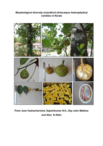 Morphological diversity of jackfruit (Artocarpus heterophyllus) varieties in Kerala