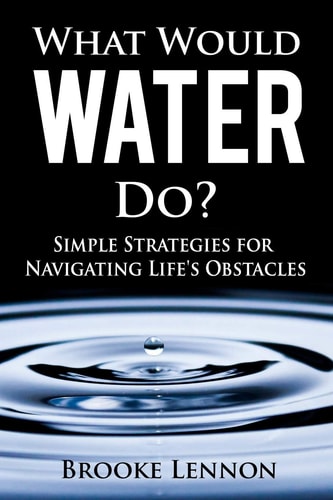What Would Water Do? Simple Strategies for Navigating Life's Obstacles