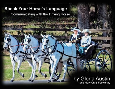 Speak Your Horses Language: Communicating with the Driving Horse