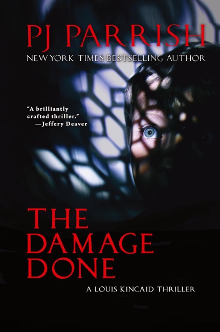The Damage Done: A Louis Kincaid Thriller