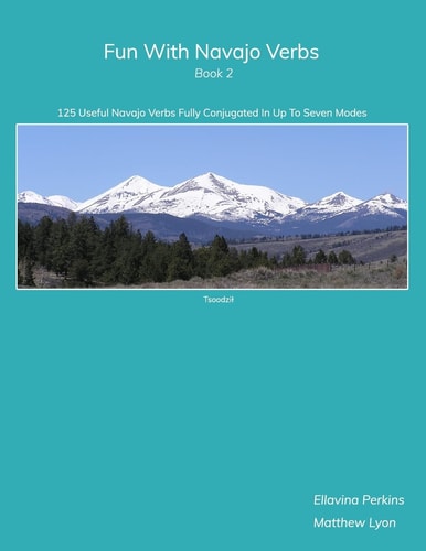 Fun With Navajo Verbs Book 2 125 Useful Navajo Verbs Fully Conjugated in Up to Seven Modes