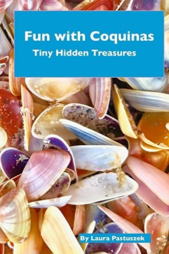Fun with Coquinas Tiny Hidden Treasures