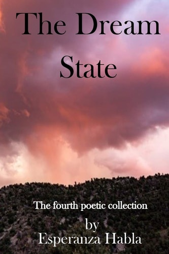 The Dream State The Fourth Poetic Collection